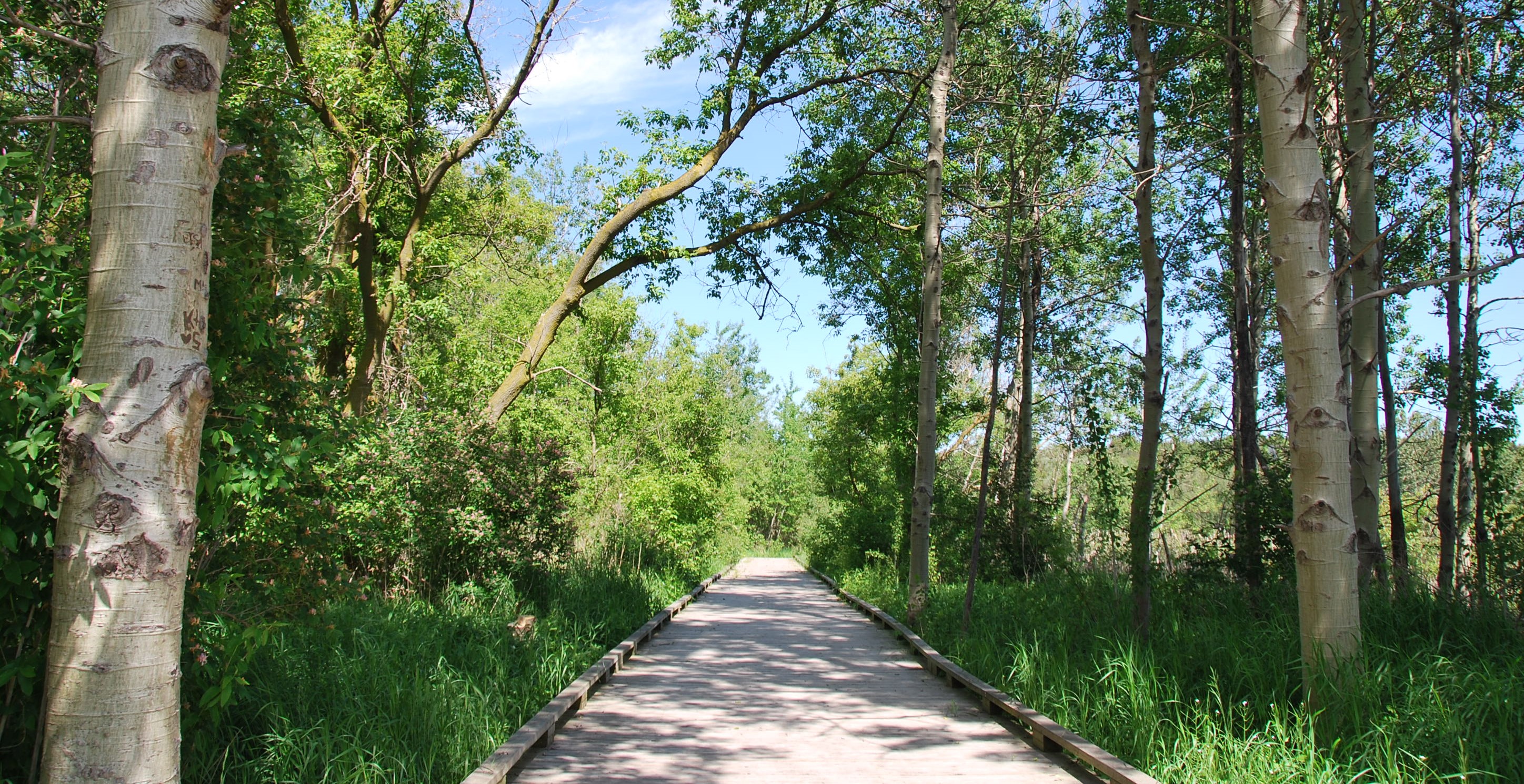 Boardwalk at Island Lake